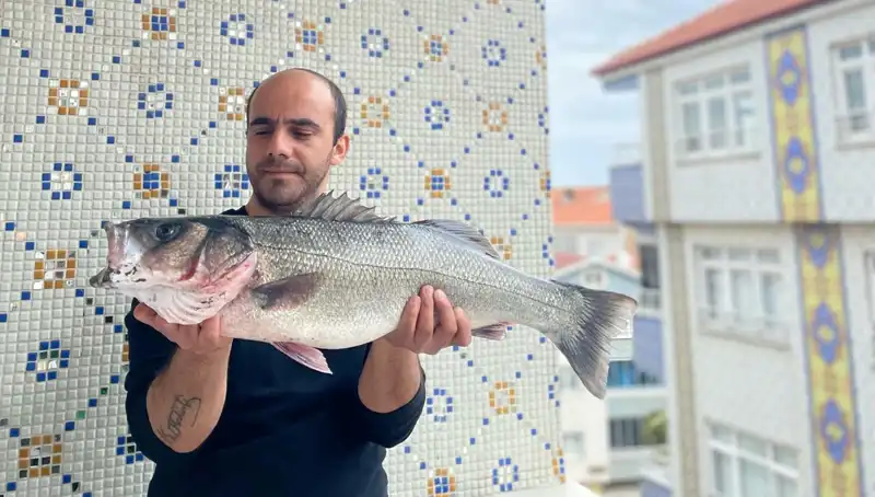 7,5 Kiloluk Dev Levrek, Avcılarının Gözdesi Oldu!