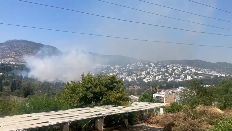 Muğla Orman Yangınları: Kontrol Altında, Ancak Tehlike Henüz Geçmiş Değil
