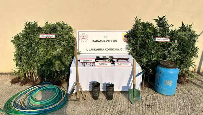Sakarya'da Uyuşturucu Operasyonu: 1 Kişi Tutuklandı, Detaylar Ortaya Çıktı!