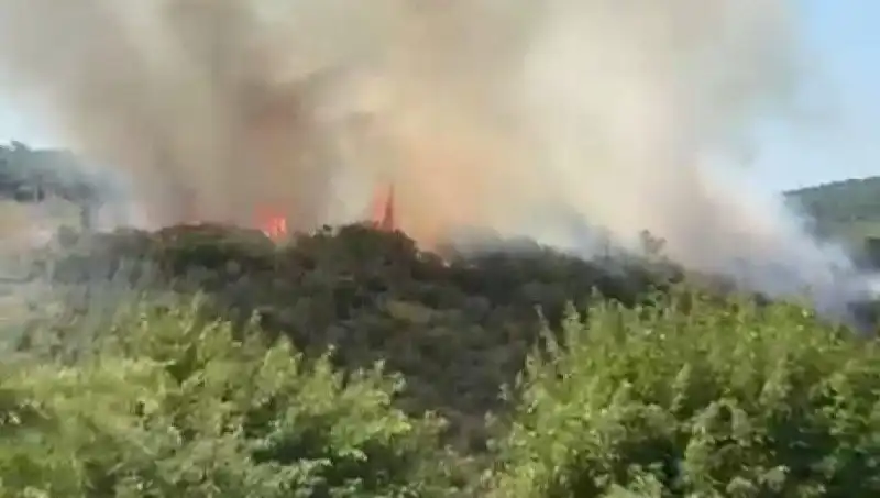 İstanbul'daki Orman Yangınında Acil Tahliye Uygulaması: Detaylar Neler?